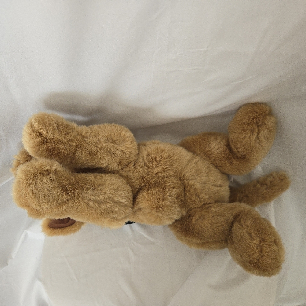 ( Eddie Bauer Home ) GUND Commemorative Golden Lab Puppy With 2000 Holiday Hat - Picture 8 of 12